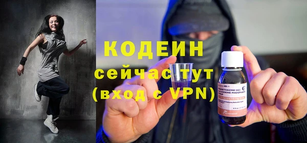 дурь Кодинск