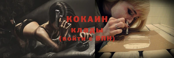 стафф Корсаков