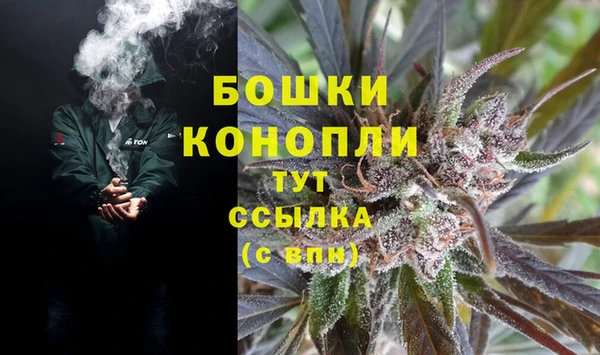 дживик Карпинск