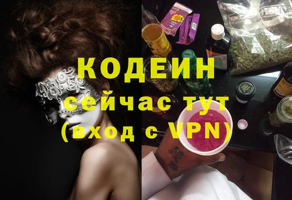 дживик Карпинск