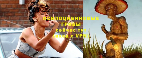 дурь Кодинск