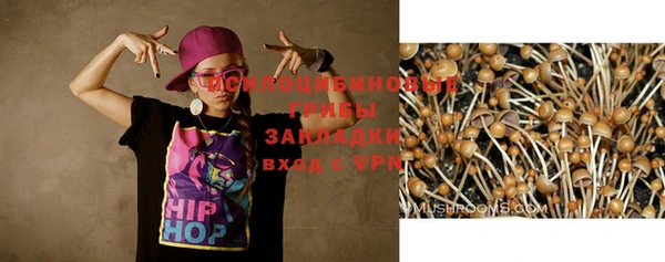 дурь Кодинск