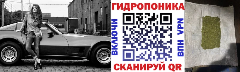 Конопля гибрид Краснотурьинск